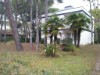 Image 2 - Outside