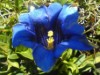 Bild 17