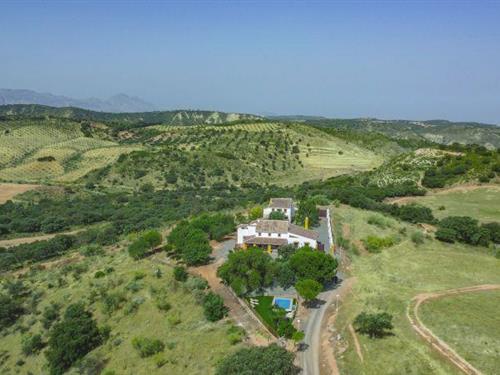 Holiday home - 14 persons -  - 29300 - Archidona