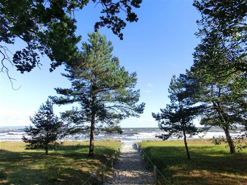 Holiday Home/Apartment - 2 persons -  - Strandpromenade 11, (Villa Sirene) - 18609 - Binz