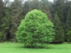 Bild 22