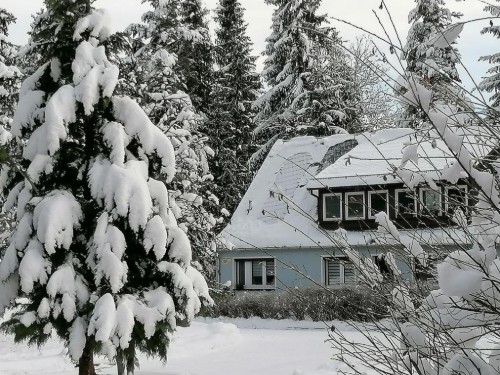 Feriehus - 6 personer -  - Am Filzteich - 08289 - Schneeberg