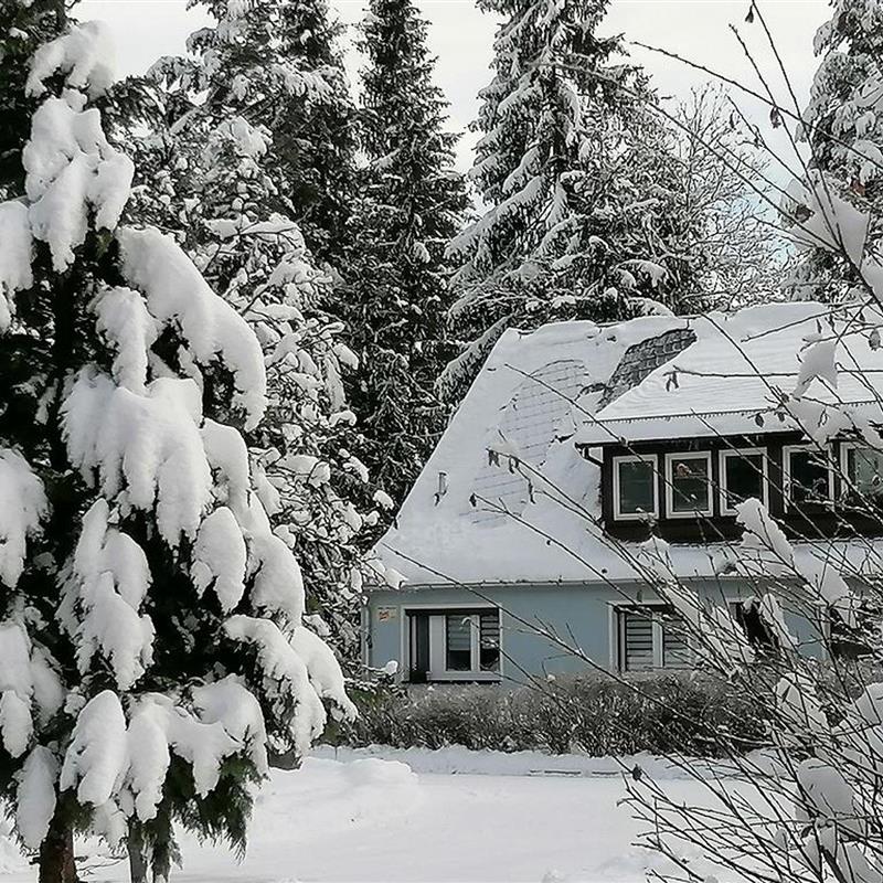 Sommerhus - 6 personer -  - Am Filzteich - 08289 - Schneeberg