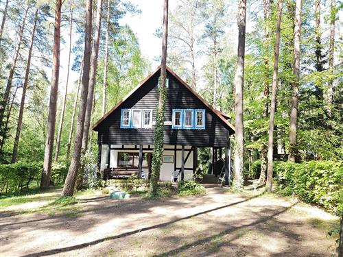 Sommerhus - 13 personer -  - Zgnilocha - 10-687
