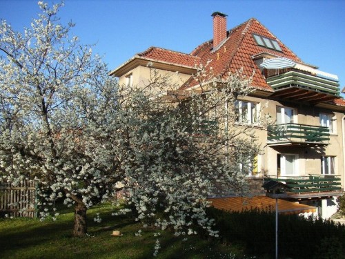 Sommerhus - 6 personer -  - 99310 - Arnstadt