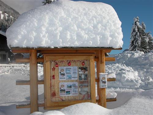 Ferielejlighed - 4 personer -  - Innerrotte - 9963 - Sankt Jakob In Defereggen
