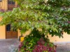 Bild 24 - Aussen