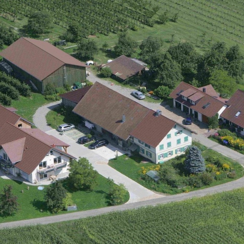 Sommerhus - 4 personer -  - 88263 - Horgenzell