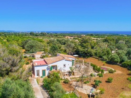 Sommerhus - 4 personer -  - Pol. 31 Par. 876 (Sexta v. - Portocolom - 07200 - Felanitx