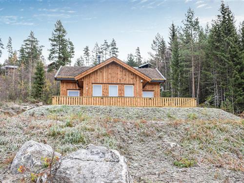 Ferienhaus - 6 Personen -  - Furuheimvegen - 3853 - Vrådal