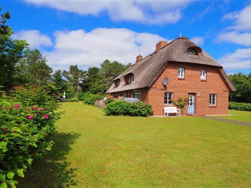 Semesterlägenhet - 2 personer -  - Bredland - 25938 - Nieblum