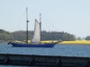 Billede 31