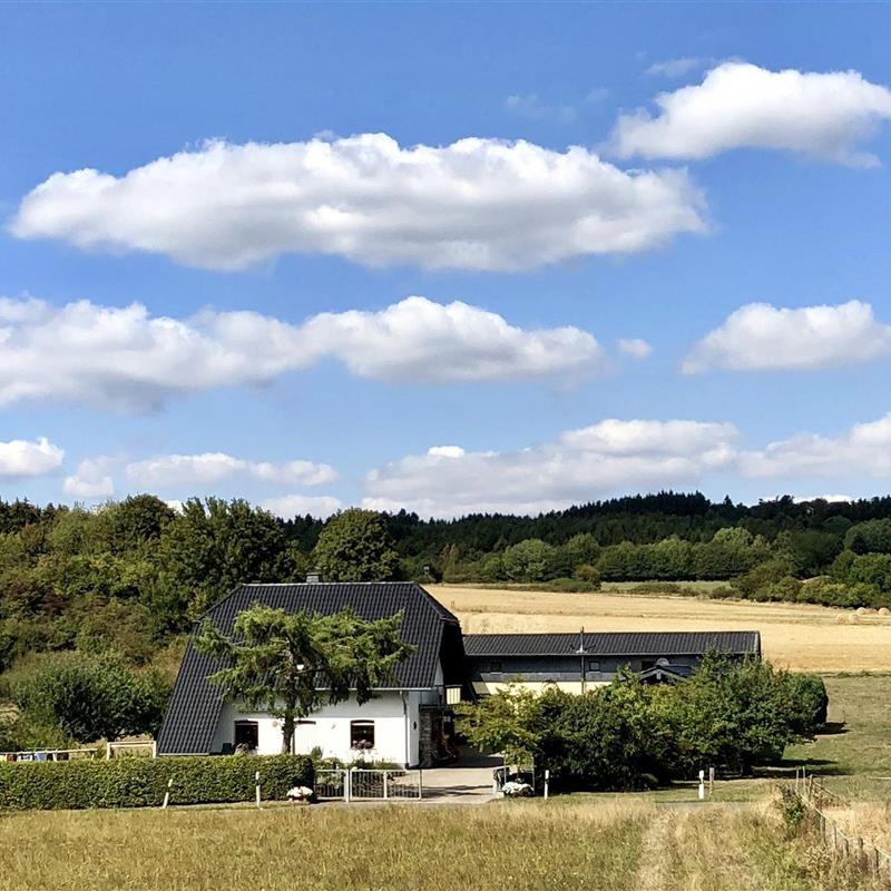 Ferielejlighed - 4 personer -  - Rohrerstr. - 53945 - Blankenheim / Lindweiler