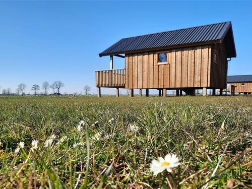 Feriehus - 4 personer -  - 7981BD - Ruinerwold