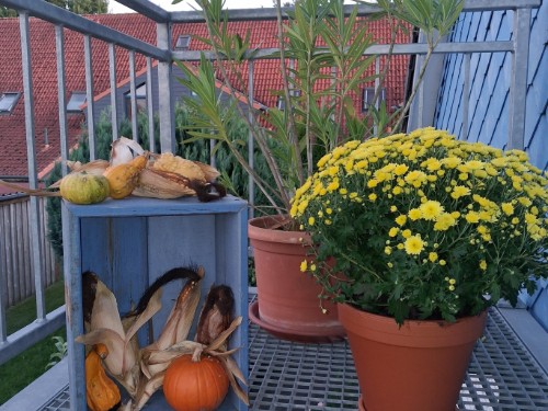 Semesterlägenhet - 2 personer -  - Heinrichweg - 24976 - Handewitt