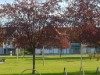 Bild 18 - Ude