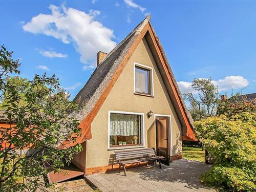 Ferienhaus - 2 Personen -  - Dorfstraße - Finnhütten-Siedlu - 17255 - Wustrow Ot Neu Canow