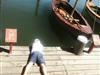 Billede 38