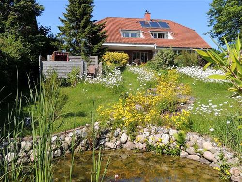 Ferienhaus - 2 Personen -  - Uferweg - 24376 - Kappeln