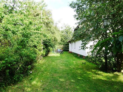 Ferielejlighed - 2 personer -  - Süderende - 18565 - Vitte/Insel Hiddensee