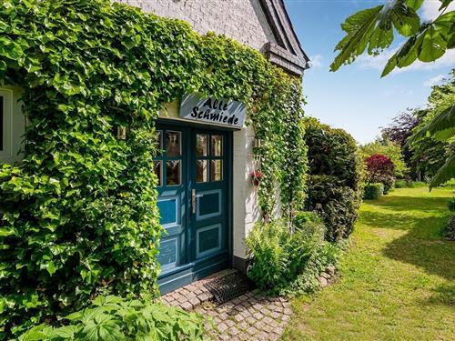 Feriehus - 6 personer -  - Ulsnis-Kirchenholz - 24897 - Ulsnis