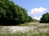 Image 31 - Outside
