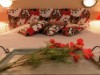 Bild 15