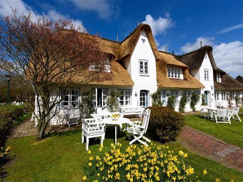 Ferielejlighed - 2 personer -  - Strandstraße - 25938 - Nieblum