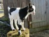 Bild 20