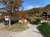 Bilde 6