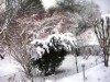 Bild 22