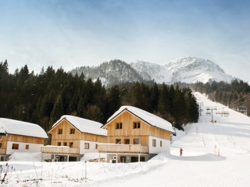 Holiday home - 10 persons -  - Lichtersberg - 8992 - Altaussee