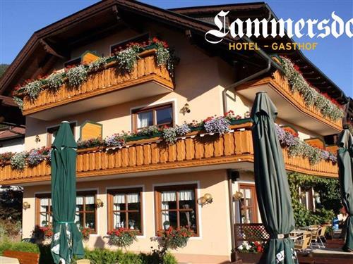 Ferielejlighed - 4 personer -  - Lammersdorf - 9872 - Lammersdorf