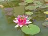 Bild 58