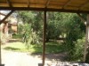 Billede 12
