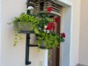Bilde 6