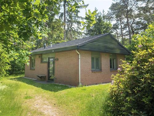 Holiday Home/Apartment - 2 persons -  - Hoge Bergweg - 7361 GS - Beekbergen