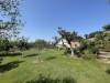 Bild 21 - Ude