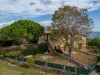 Image 16 - Outside