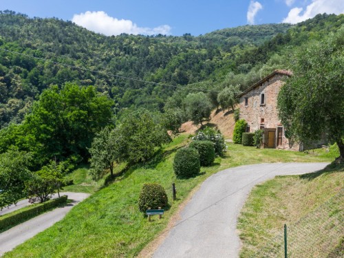 Fritidshus - 6 personer -  - 51010 - Pescia