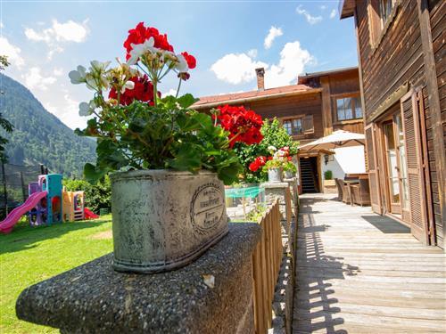 Holiday Home/Apartment - 6 persons -  - Sankt Gallenkirch - 6791