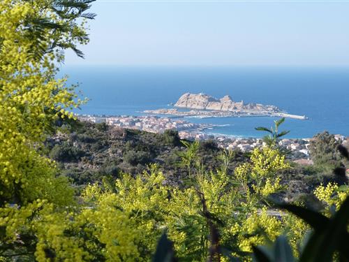 Holiday Home/Apartment - 4 persons -  - Route de Santa Reparata - 20220 - Monticello