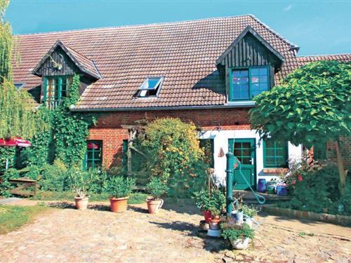 Ferielejlighed - 3 personer -  - Birkenallee - 18184 - Thulendorf/Sagerheide