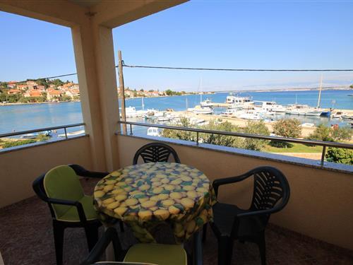 Holiday Home/Apartment - 2 persons -  - Preko - 23273 - Preko