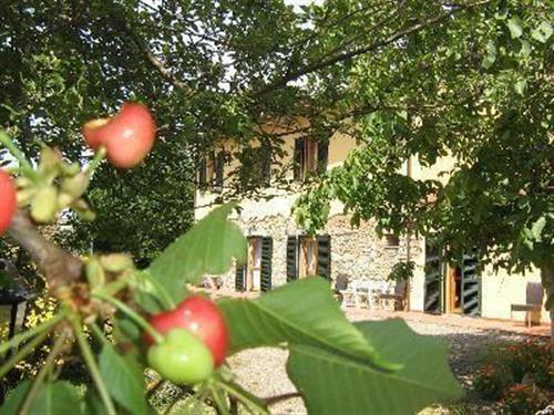 Ferienhaus - 3 Personen -  - citerna, - 56040 - Santa Luce