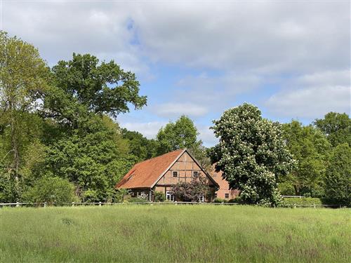 Sommerhus - 5 personer -  - Hufe - 29690 - Gilten