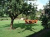 Bild 14