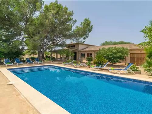 Sommerhus - 8 personer -  - 07450 - Can Picafort, Illes Balea