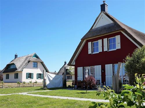 Holiday Home/Apartment - 8 persons -  - De Poeler Drift - 23968 - Zierow