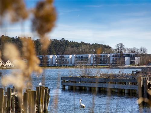 Semesterlägenhet - 2 personer -  - 17192 - Waren (Müritz)